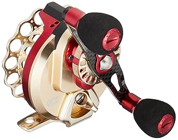 Amazon | ダイワ(DAIWA) イカダリール 18 BJ 筏 (右/左ハンドル